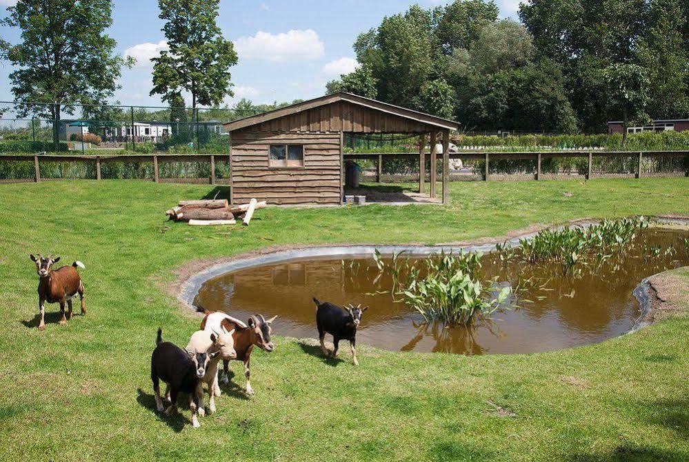 Europarcs De Biesbosch 호텔 Willemsdorp 외부 사진